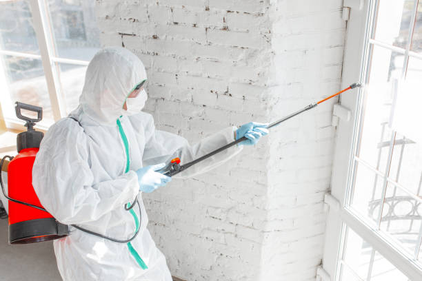 Best Asbestos and Lead Testing During Mold Inspection  in Glenwood, IL